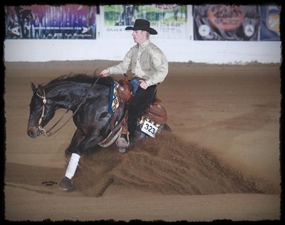 Randy Dooley of Dooley Performance Horses