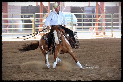 Dooley Performance Horses in Colorado